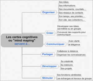 RTEmagicC_Les_cartes_cognitives-c35d2.png